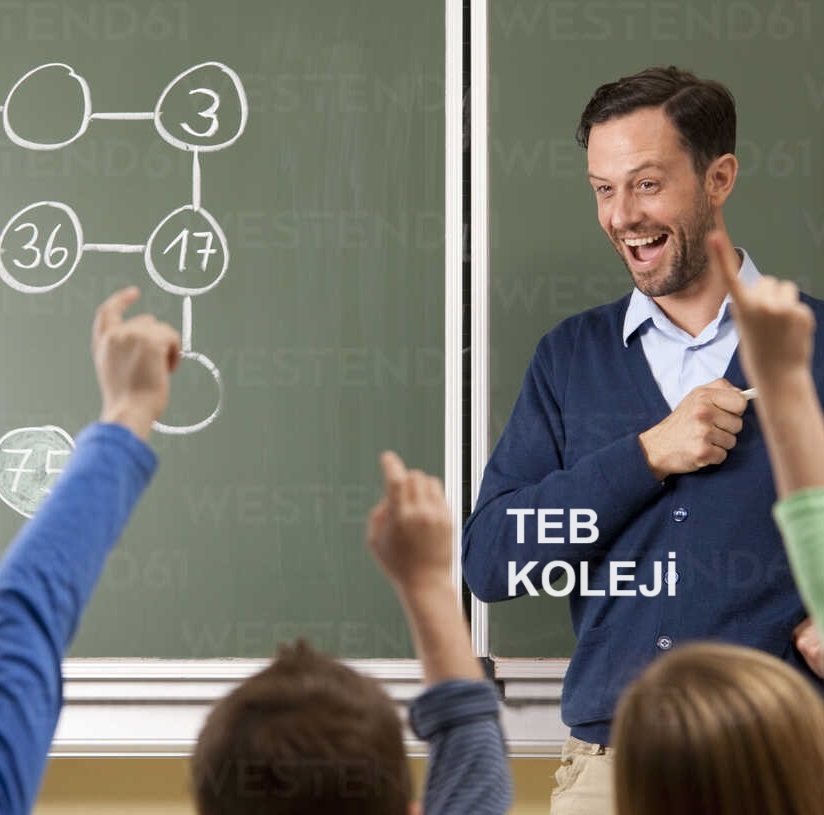 TEB Koleji