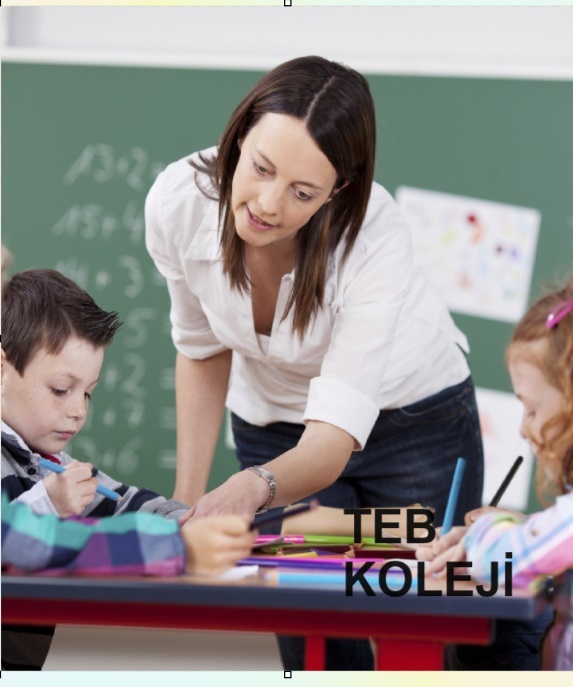 TEB Koleji