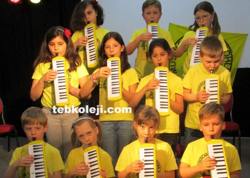TEB Koleji