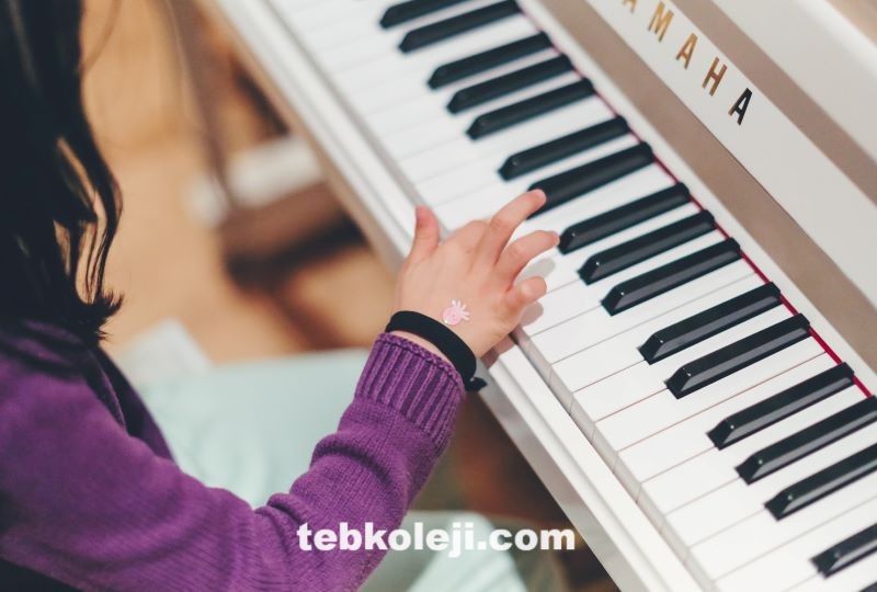TEB Koleji